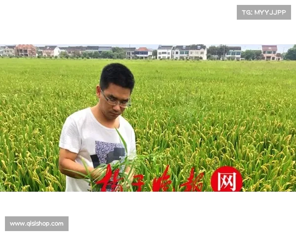 “谷子经济”活跃 带动传统产业“年轻态” “谷子经济”活跃 带动传统产业“年轻态”