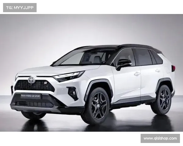 丰田RAV4换代确定国产 广丰一丰分版本上市 2.0混动省油数据曝光 丰田RAV4换代确定国产 广丰一丰分版本上市 2.0混动省油数据曝光