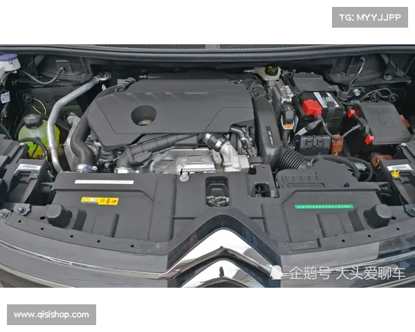 为什么说骊威是好车?虽然样子很丑,底盘异响,还用CVT变速箱 为什么说骊威是好车?虽然样子很丑,底盘异响,还用CVT变速箱