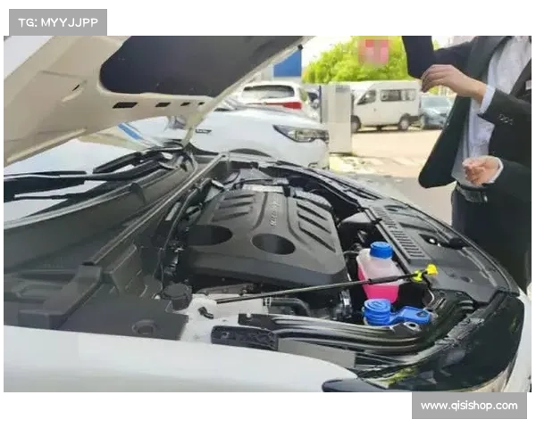 全国首辆长安UNI-T上牌,白色版引人注目,1.5T配动态驻车,要火 全国首辆长安UNI-T上牌,白色版引人注目,1.5T配动态驻车,要火