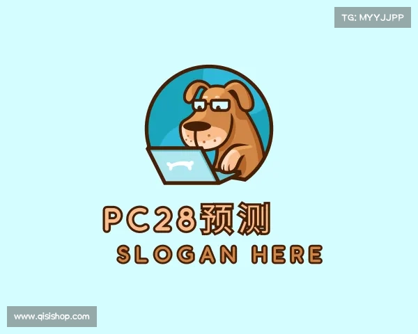 解读pc28预测